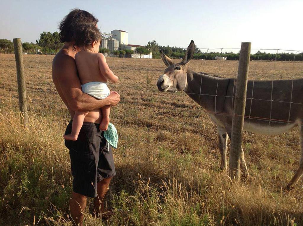 זמבוז'יירה דו מאר Herdade Do Sardanito Da Frente מראה חיצוני תמונה